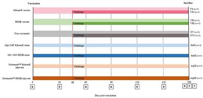 Influence of Heterologous and Homologous Vaccines, and Their Components, on the Host Immune Response and Protection Against Experimental Caprine Paratuberculosis